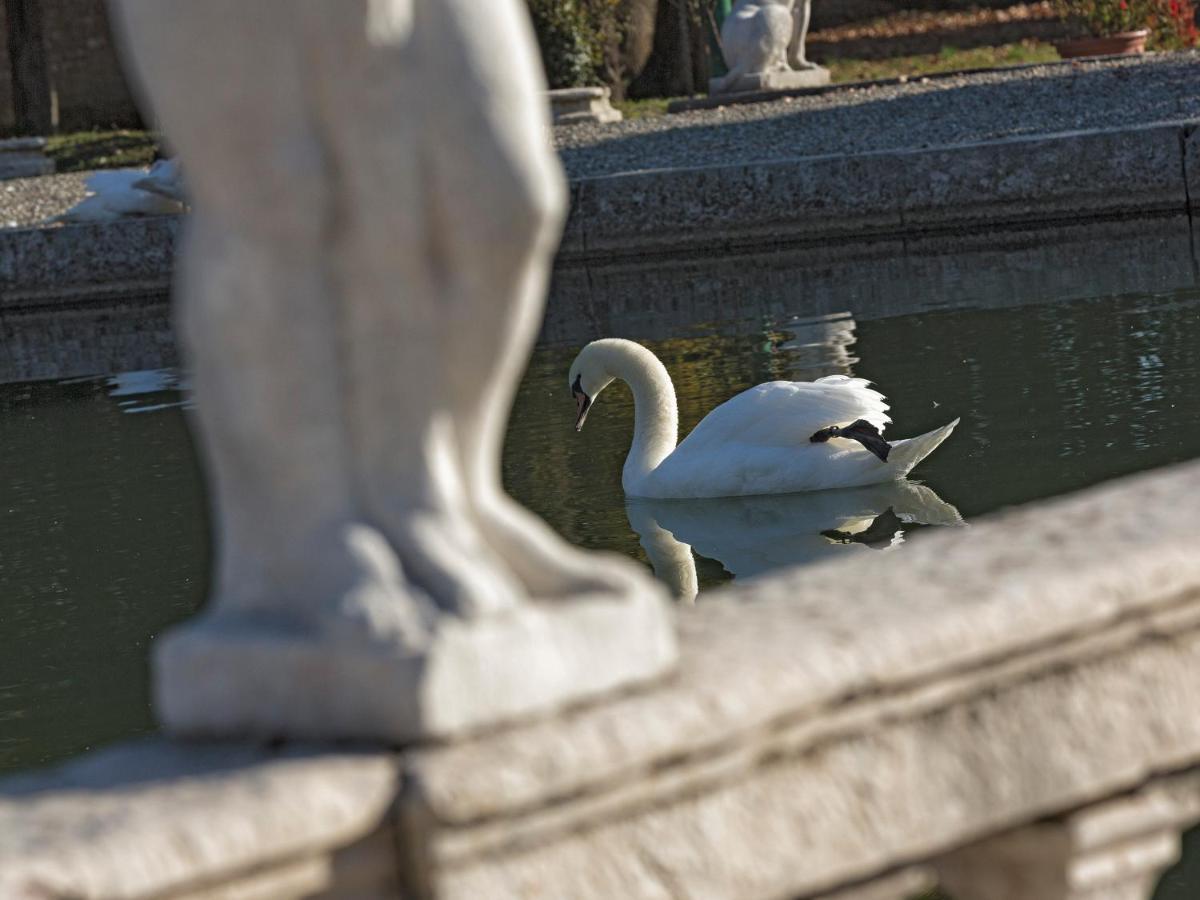 Villa Stecchini Bassano del Grappa Exteriér fotografie